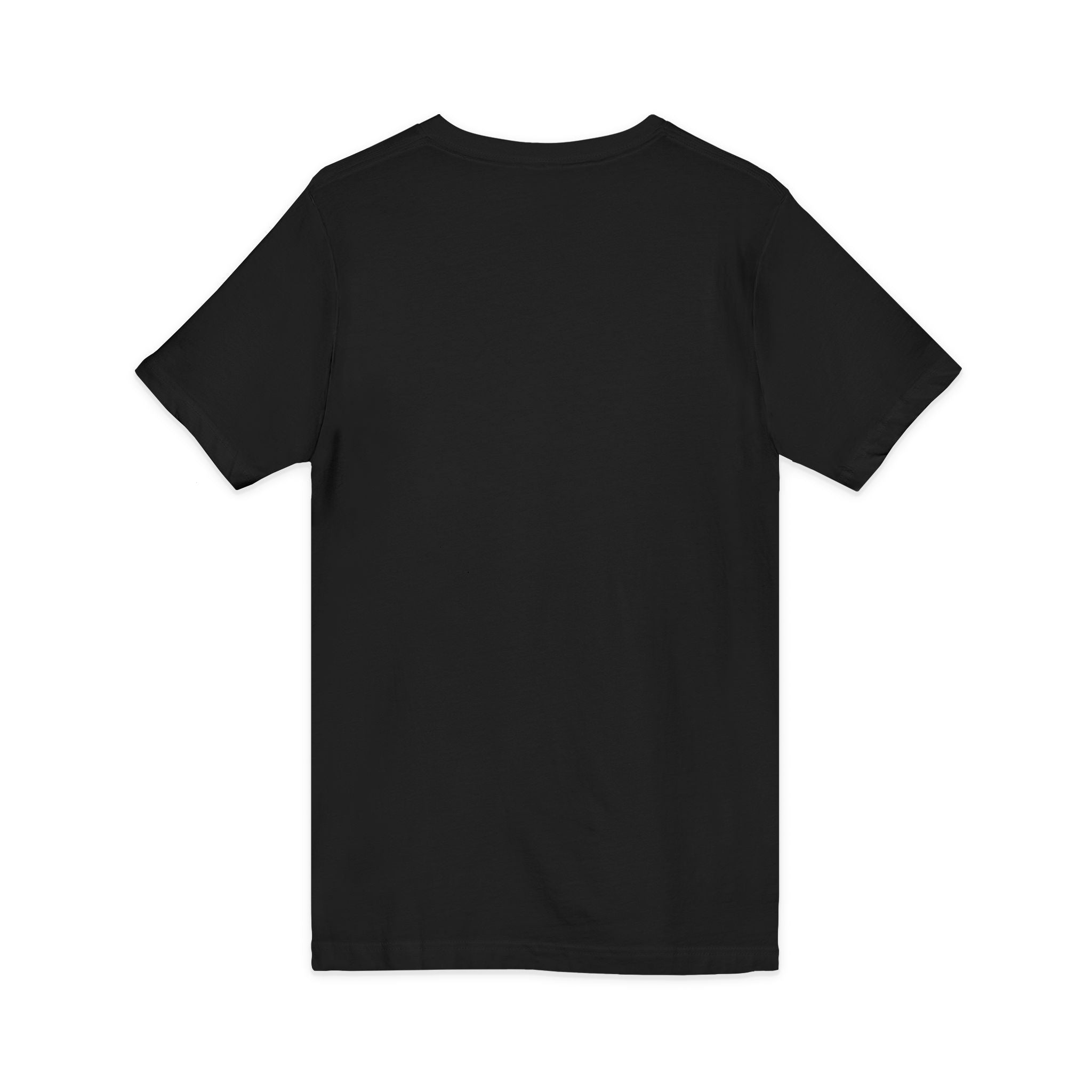 Gotta Go Buffalo V-Neck Tee — Retro Pastel Bison Graphic T-Shirt