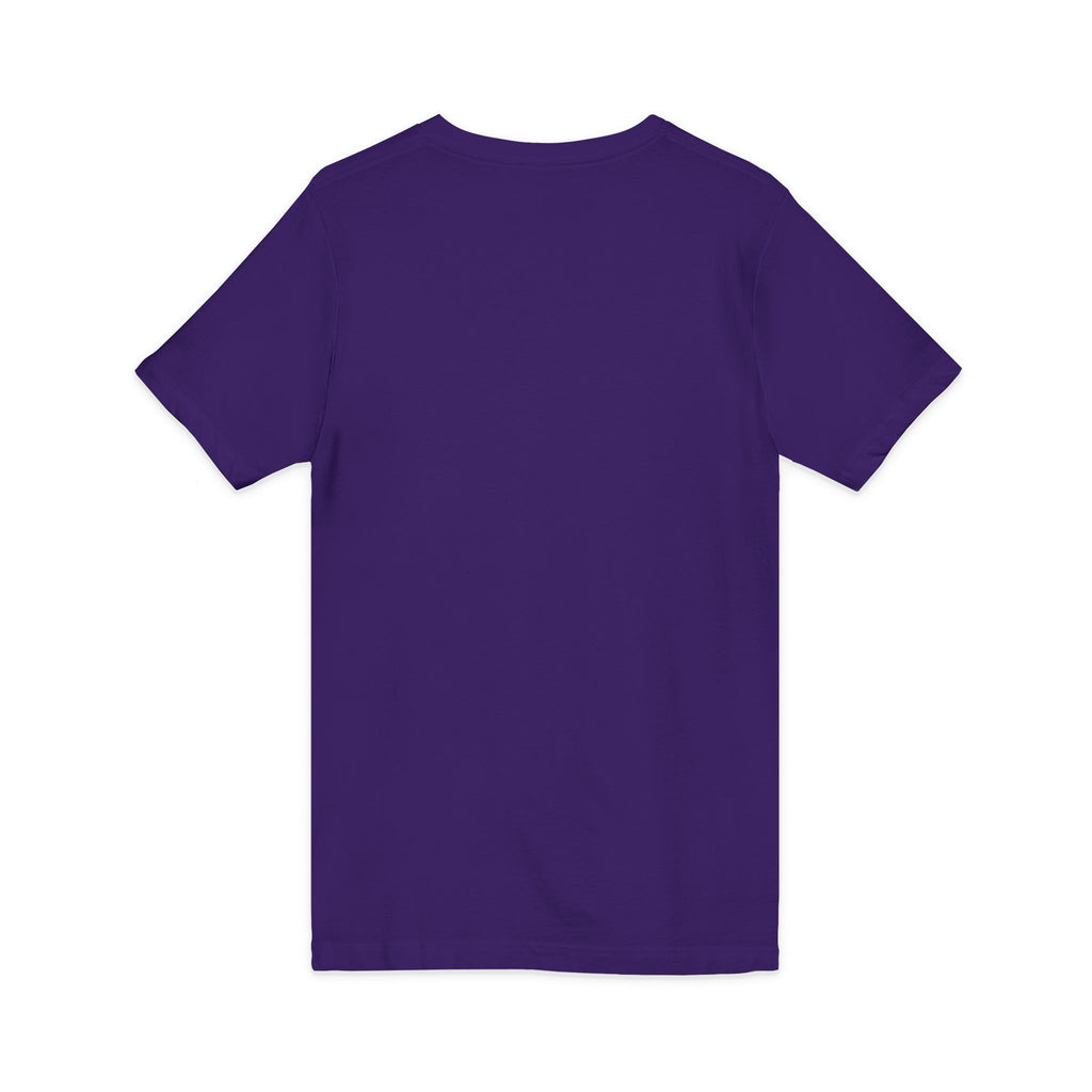 Gotta Go Buffalo V-Neck Tee — Retro Pastel Bison Graphic T-Shirt