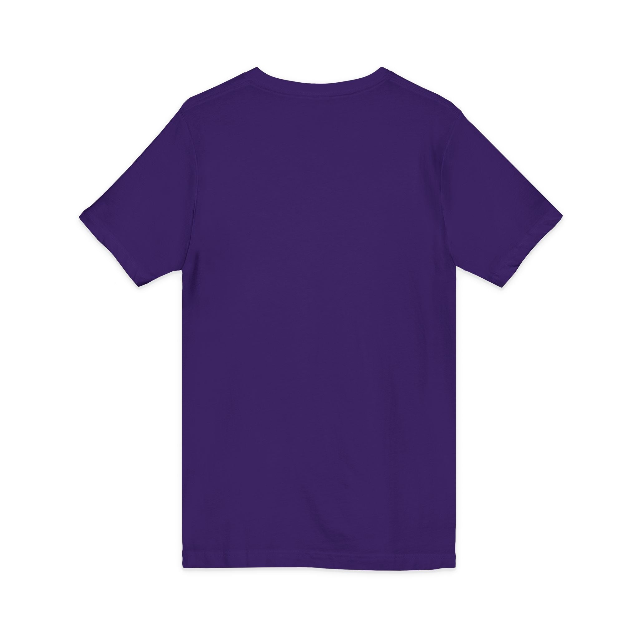 Gotta Go Buffalo V-Neck Tee — Retro Pastel Bison Graphic T-Shirt