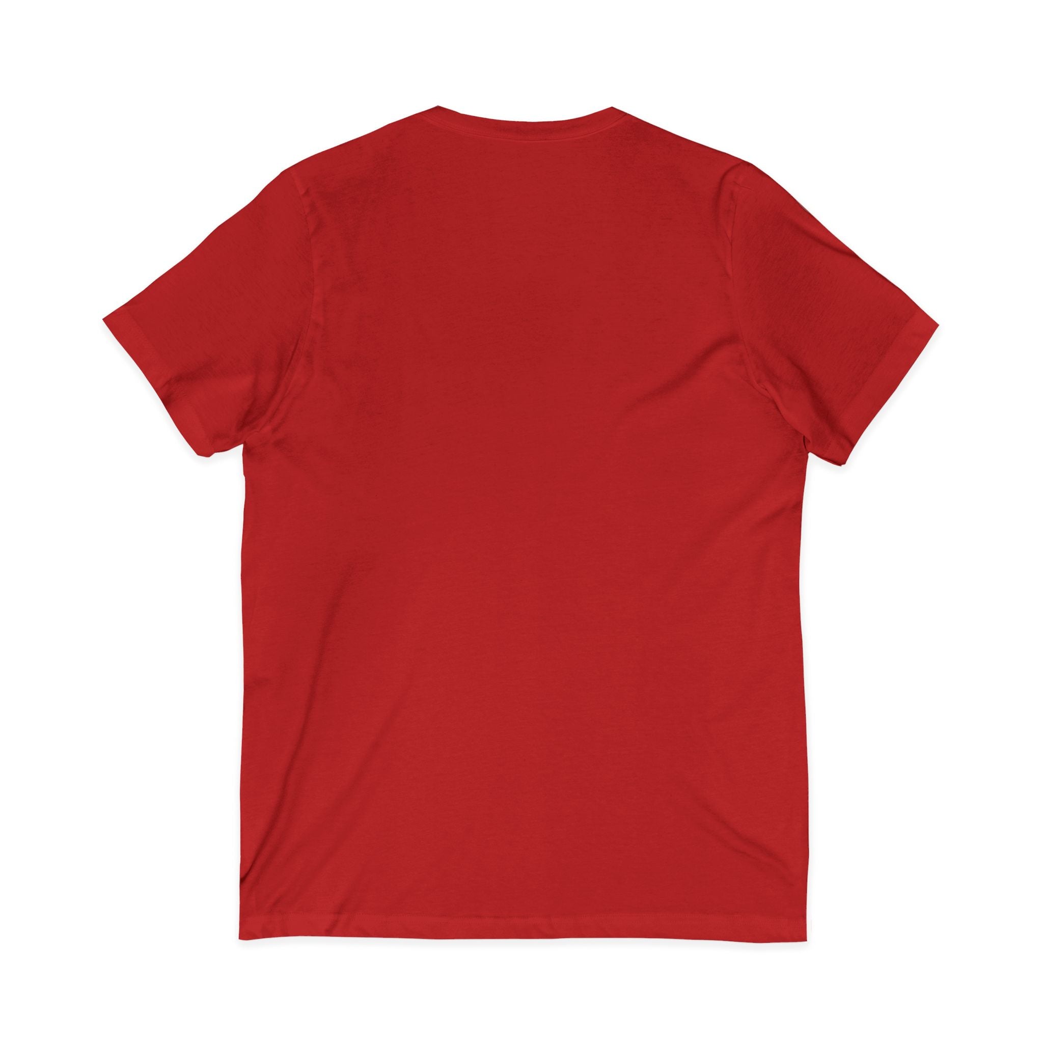Gotta Go Buffalo V-Neck Tee — Retro Pastel Bison Graphic T-Shirt