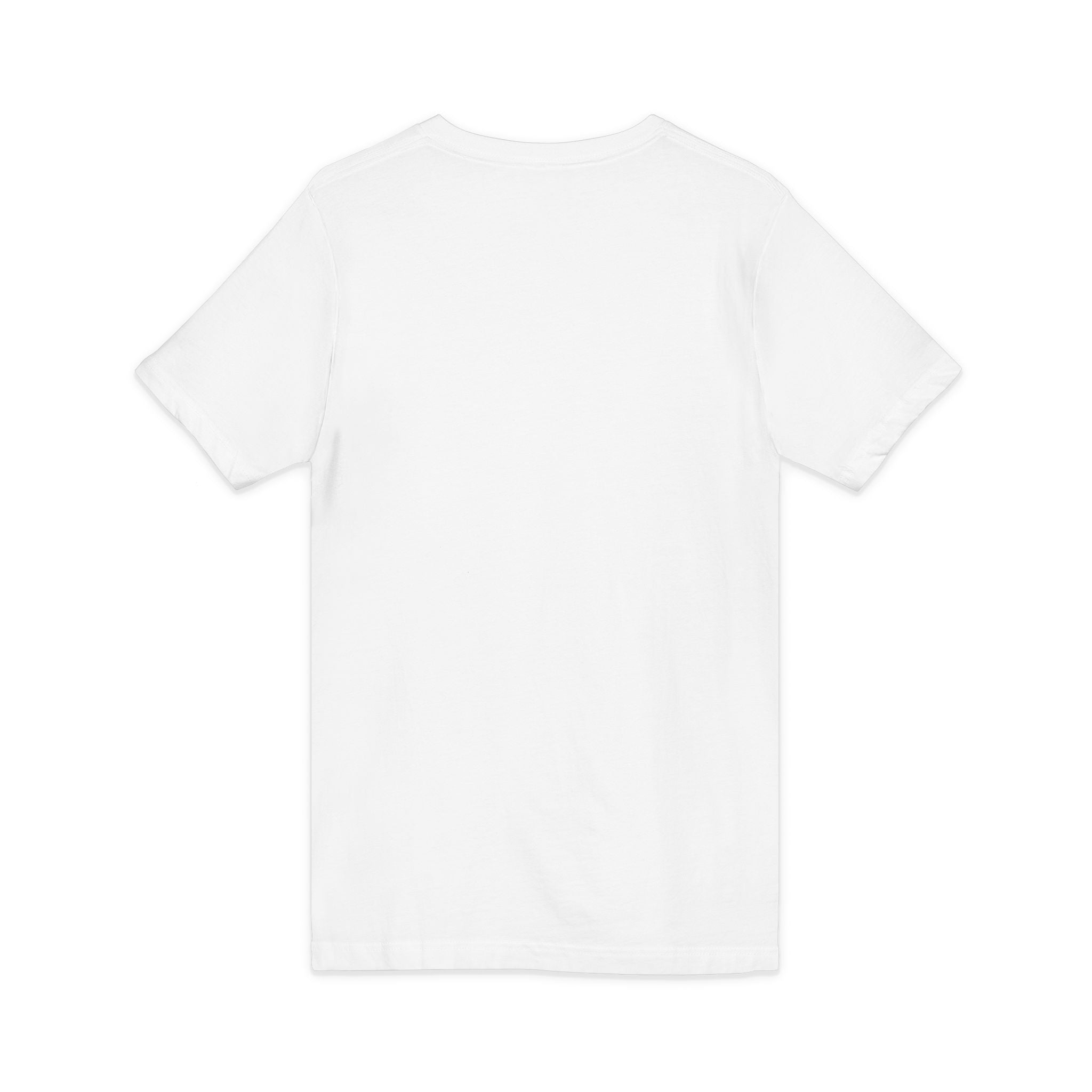 Gotta Go Buffalo V-Neck Tee — Retro Pastel Bison Graphic T-Shirt