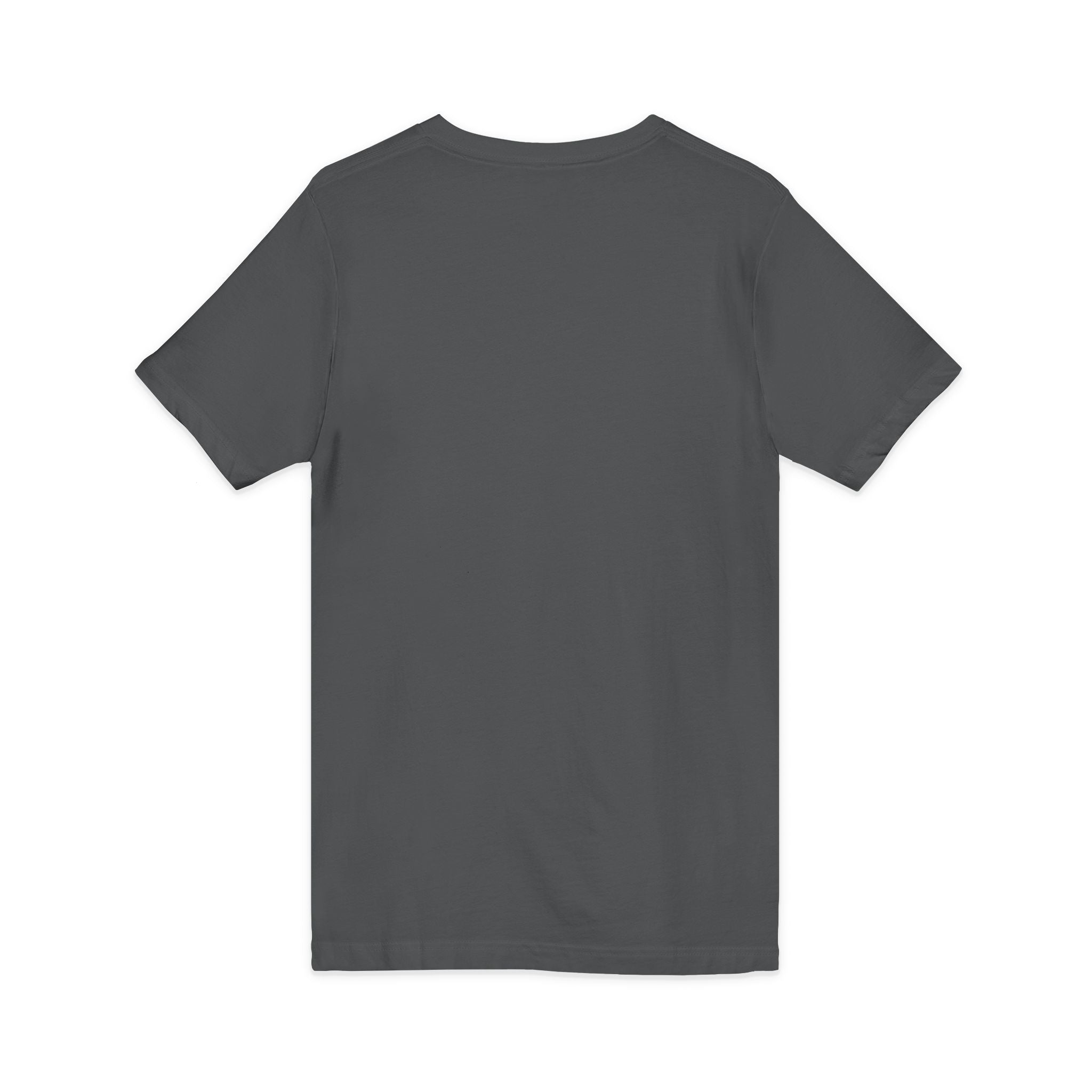 Gotta Go Buffalo V-Neck Tee — Retro Pastel Bison Graphic T-Shirt